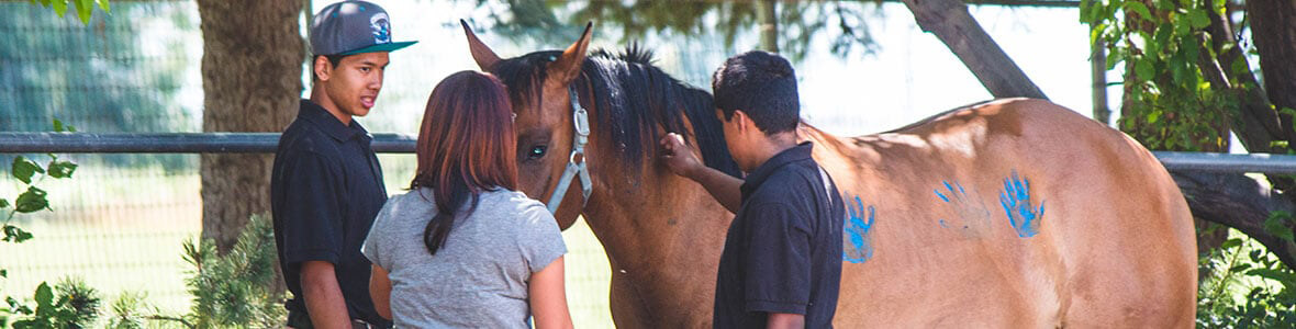 Equine-Therapy-at-Discovery-Ranch-for-Boys