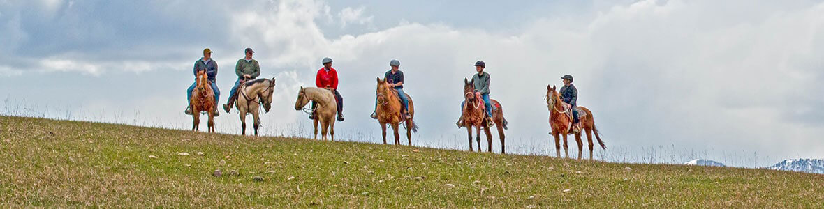 Equine-Therapy