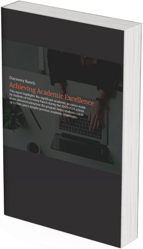 DR Academic Outcomes